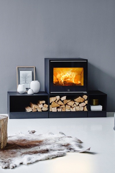 SCAN 1003 BOX AVEC MODULES (en option)